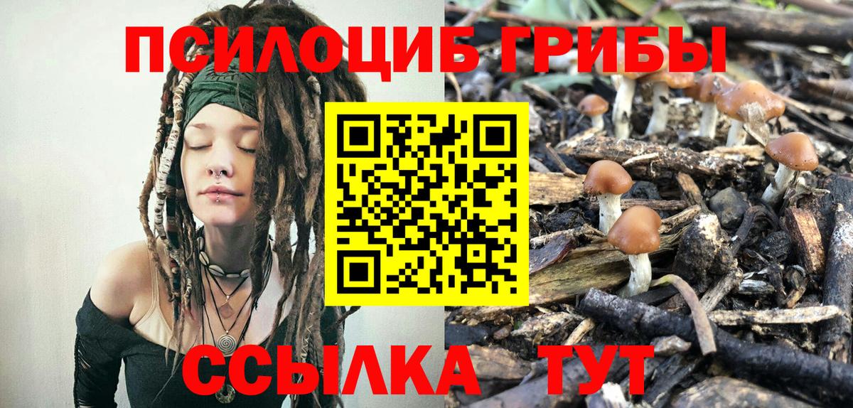 Галлюциногенные грибы мицелий  Галлюциногенные грибы MAGIC MUSHROOMS  Вязники  Вход с VPN 